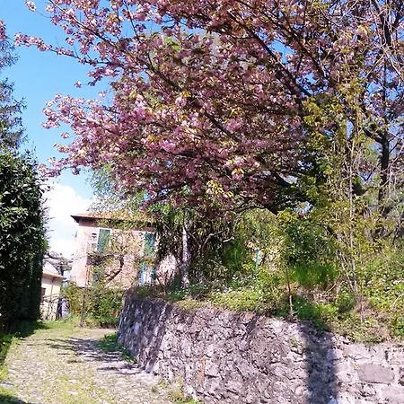 Apartamento La Ca Del Menec Lierna